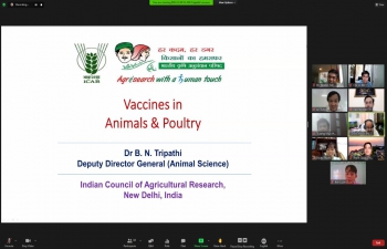 Online Lecture on 'Vaccines in Animals & Poultry' by Indian Council of Agricultural Research  (13th July, 2021)